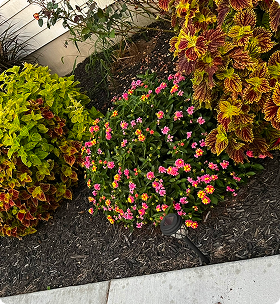 September 18th September 18th