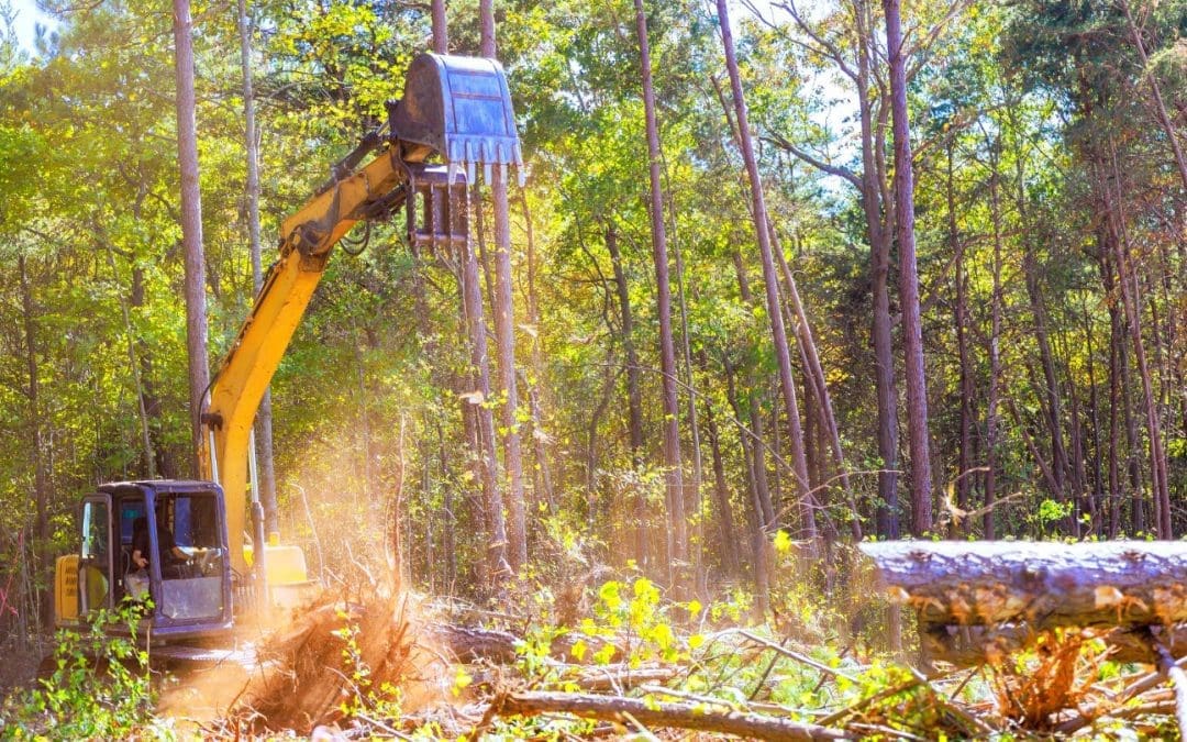 Residential and Commercial Land Clearing Services