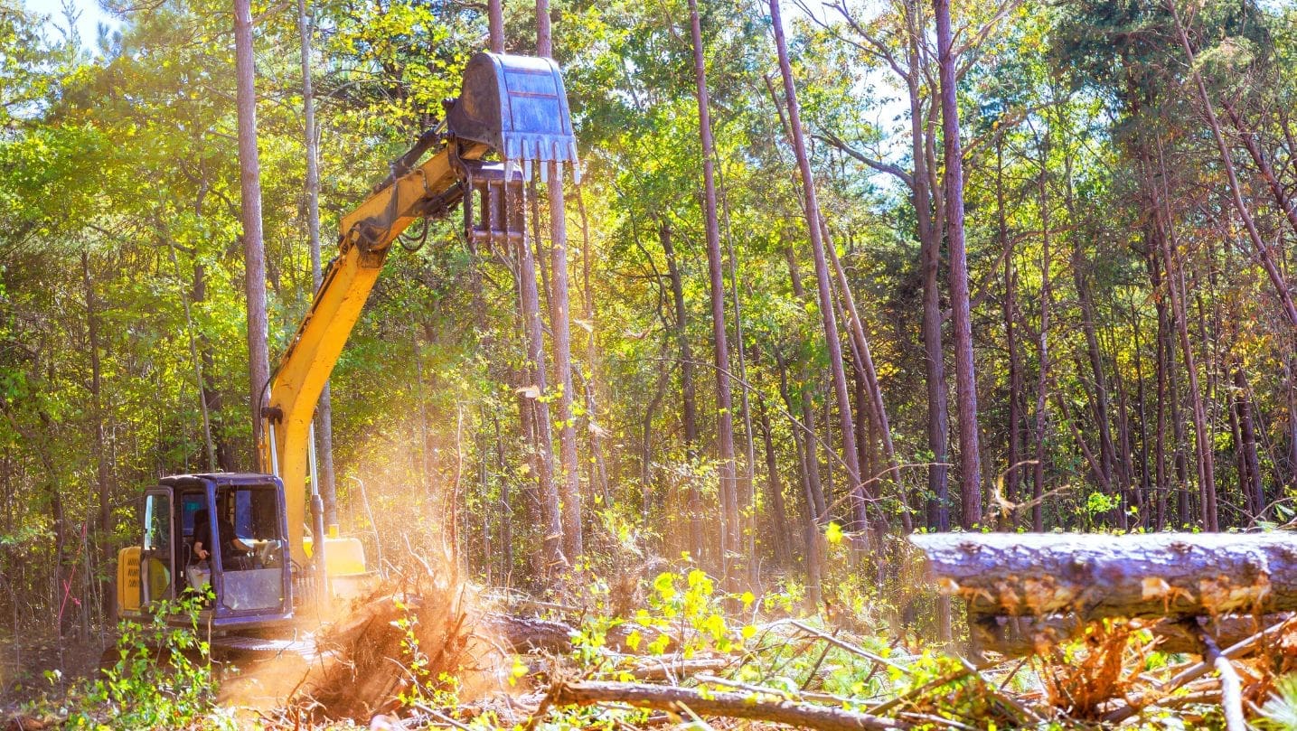 Land Clearing Services