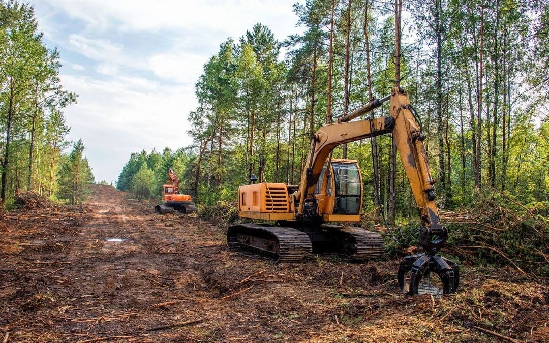 Lot Clearing vs. Land Clearing: Key Differences Explained